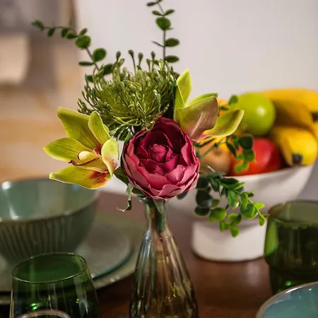 Noa Escape Appartement *