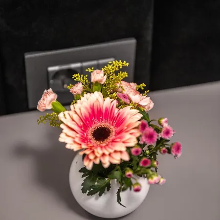 Noa Escape * Mangalia