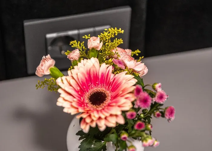 Noa Escape * Μανγκάλια