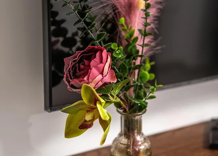 Noa Escape Διαμέρισμα Μανγκάλια